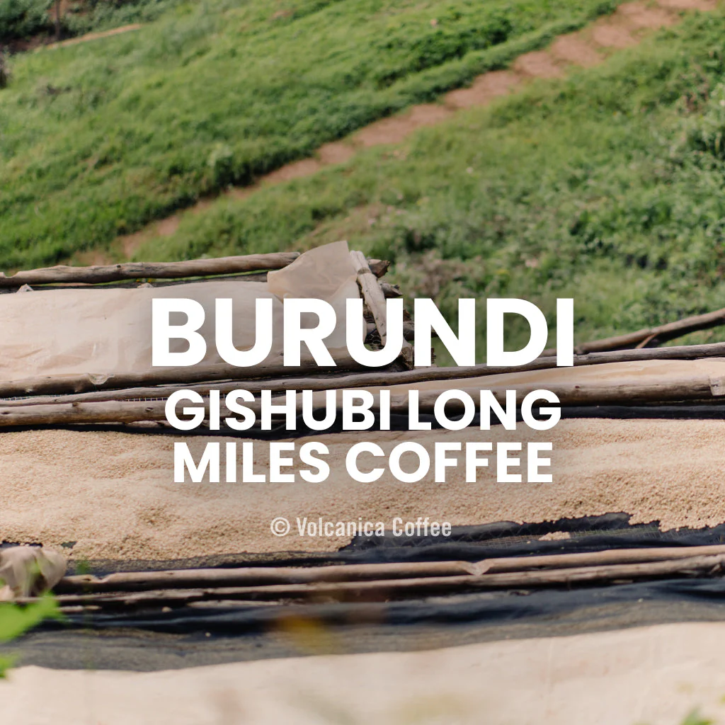 Burundi Gishubi Long Miles Coffee - Image 6