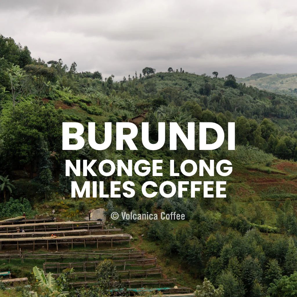 Burundi Nkonge Long Miles Coffee - Image 6