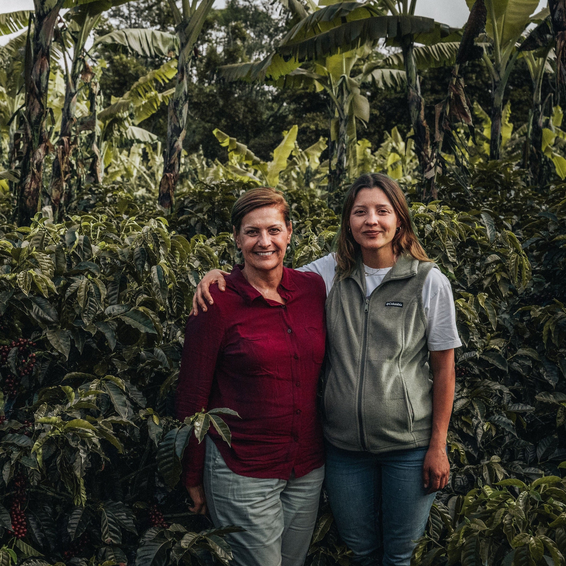 Costa Rica Coffee, Finca Las Mercedes, Natural Process - Image 7