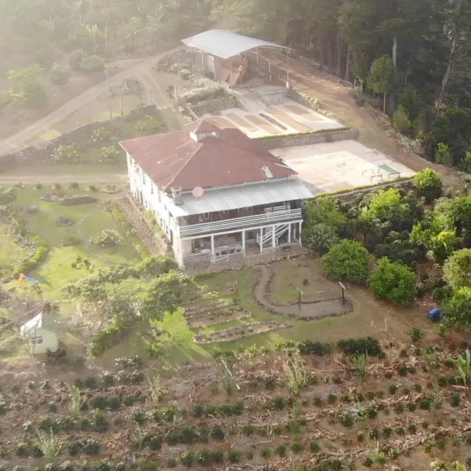 Costa Rica Coffee, Finca Las Mercedes, Natural Process - Image 8