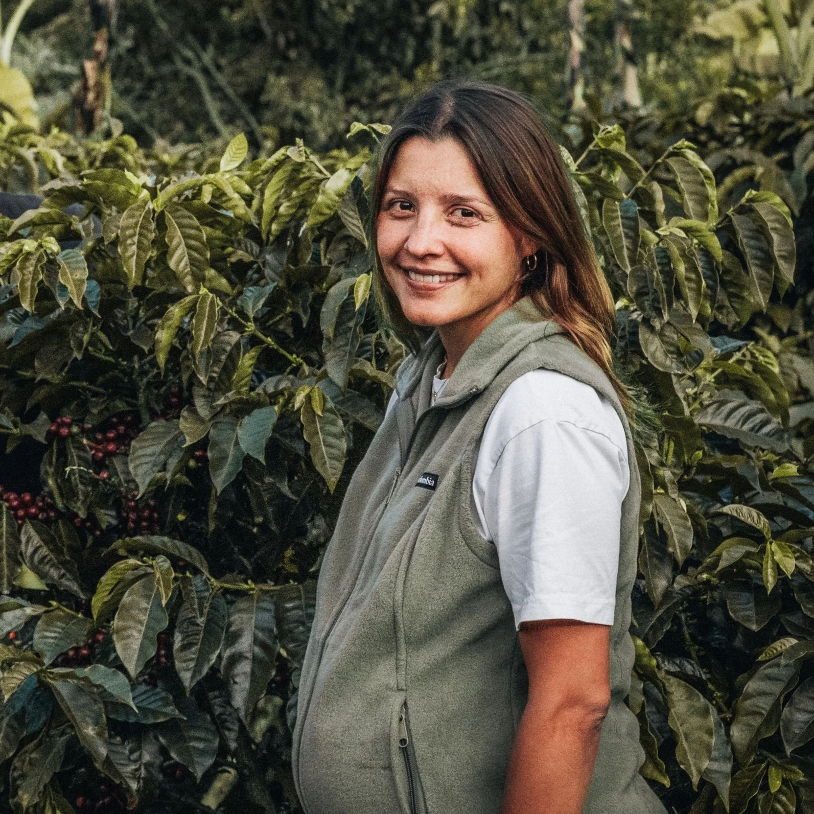 Costa Rica Coffee, Finca Las Mercedes, Washed Process - Image 3