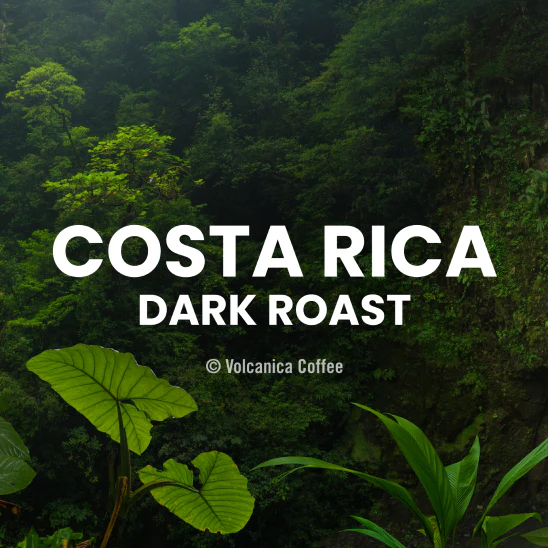 Costa Rican Dark Roast Coffee - Reserve - Image 6