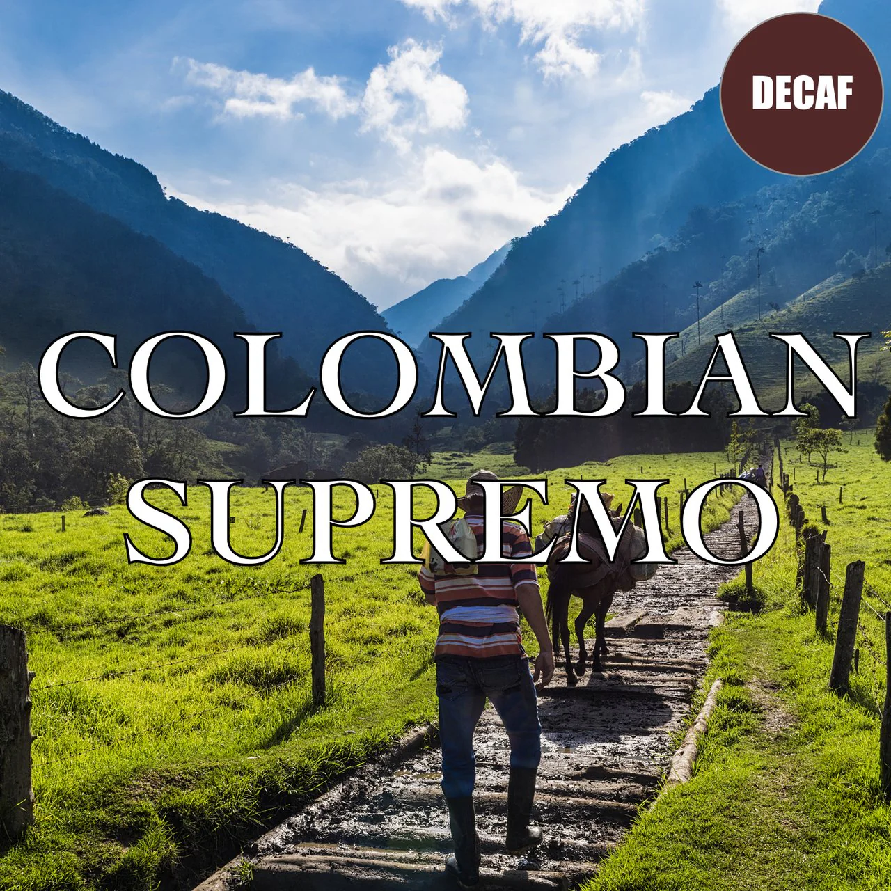 Decaf Coffee Gift Box - Image 5