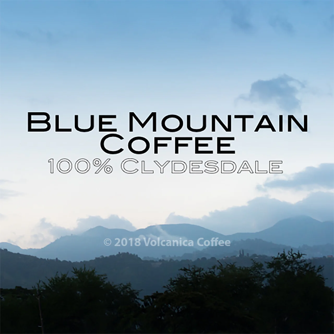 Deluxe World Traveler Coffee Gift Box - Image 2