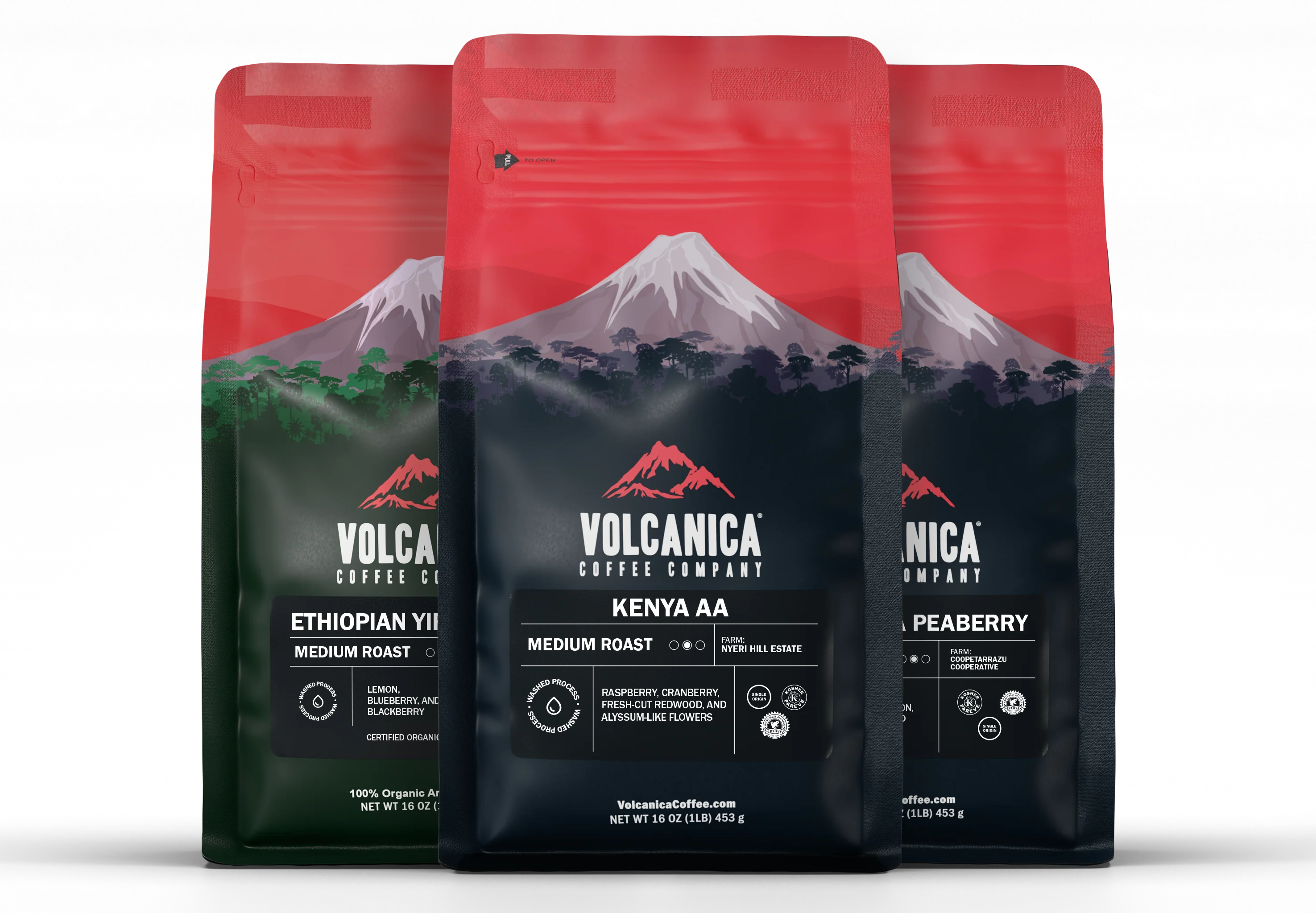 Essential Coffee Bundle