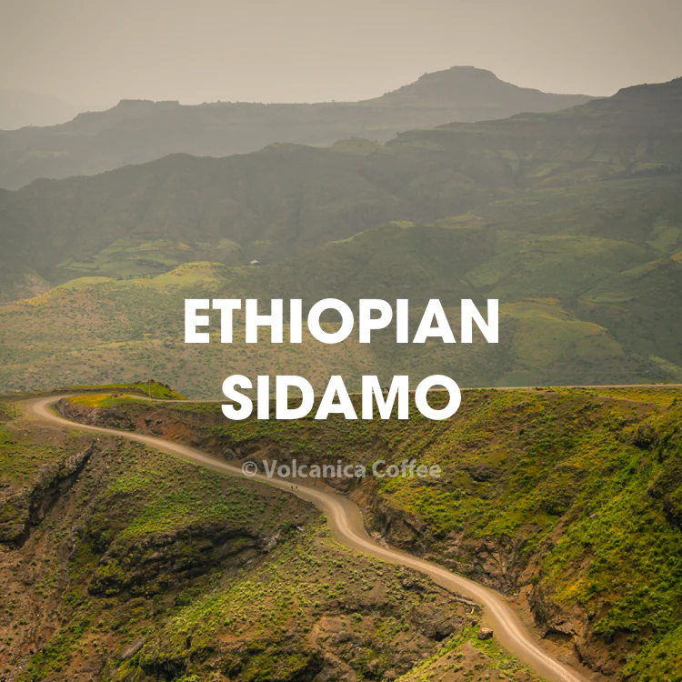 Ethiopia Sidamo Coffee - Image 6