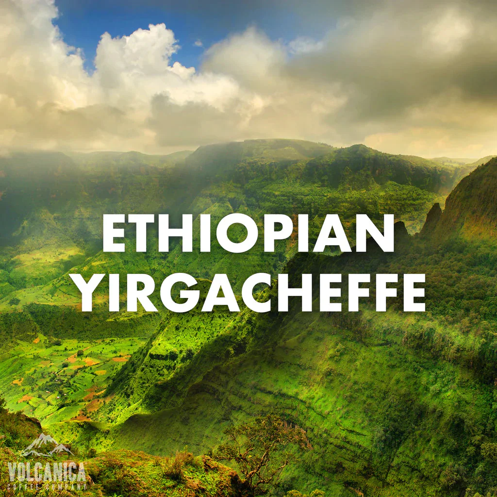 Ethiopian Yirgacheffe Coffee - USDA Organic - Image 6