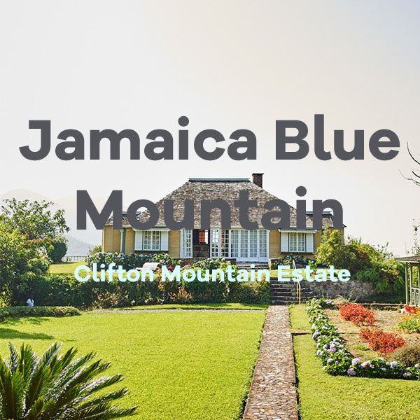 Jamaica Blue Mountain Coffee Gift Box, 4 Single-Origin 16 oz - Image 5