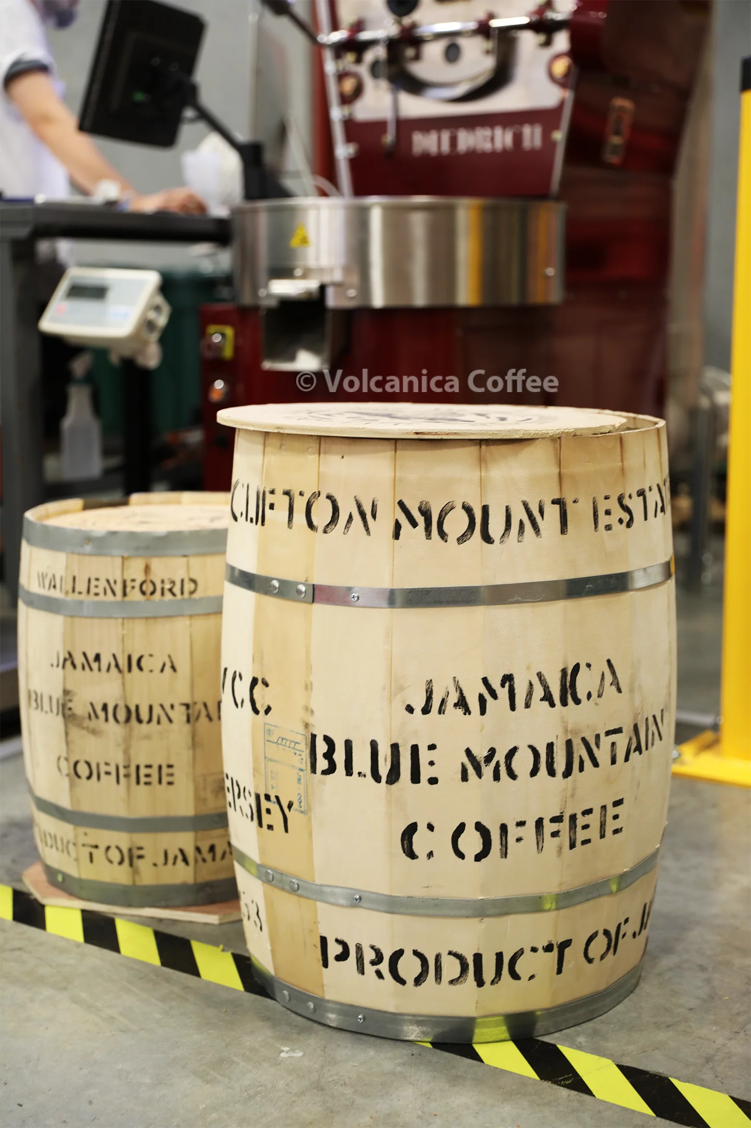 Jamaican Blue Mountain Peaberry Coffee - Image 8