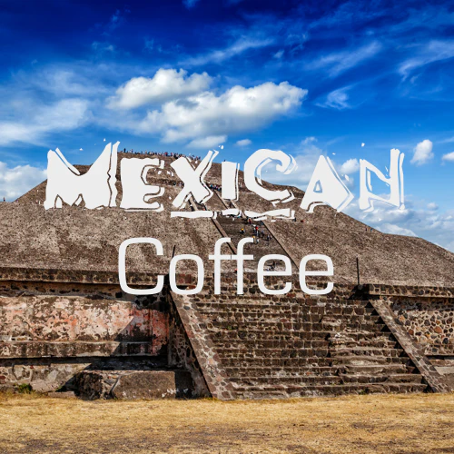 Mexican Coffee - USDA Organic - Image 6