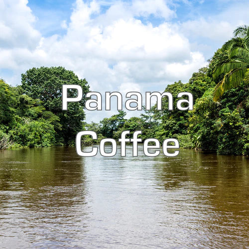 Panama Coffee - Image 6