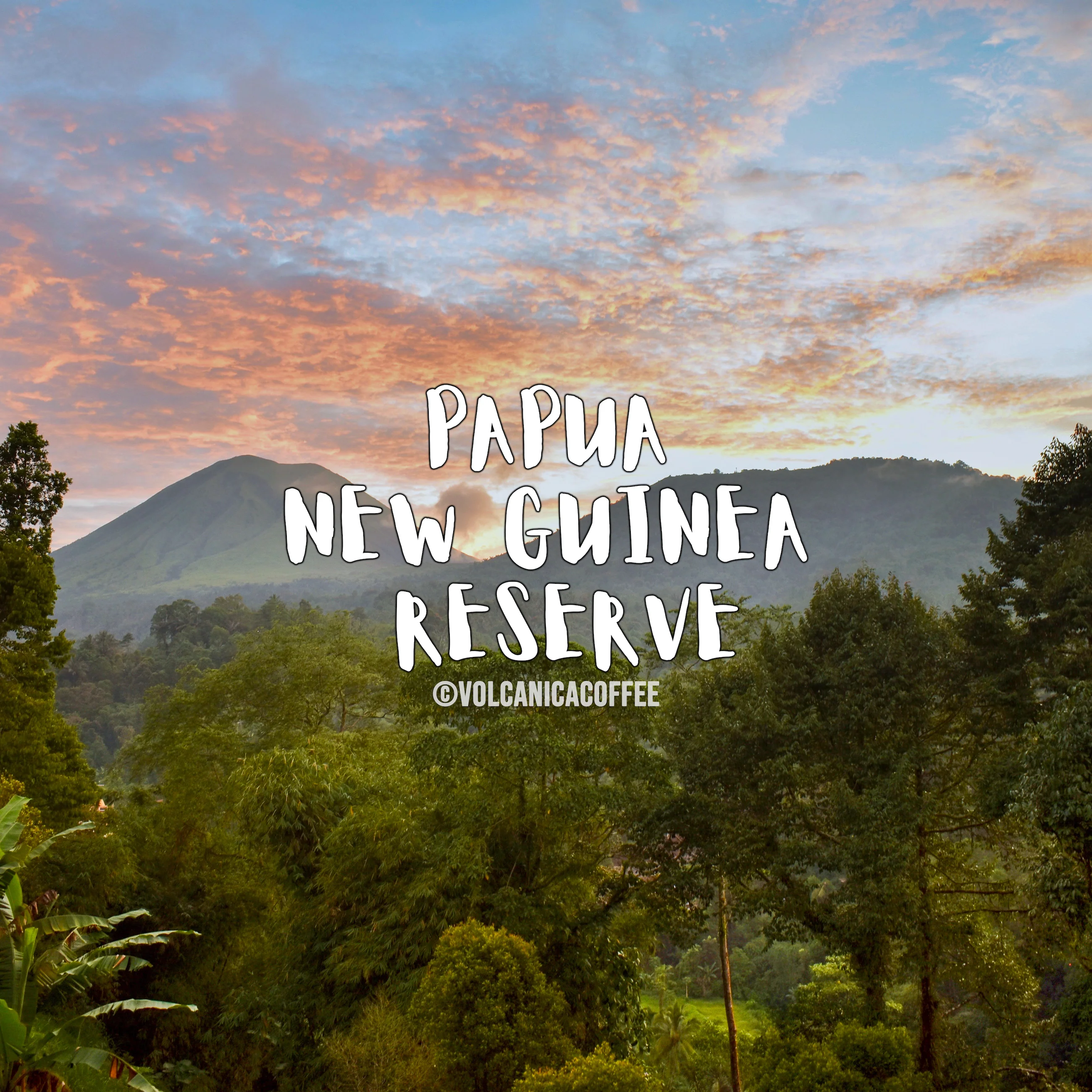 Papua New Guinea Coffee Gift Box - Image 6