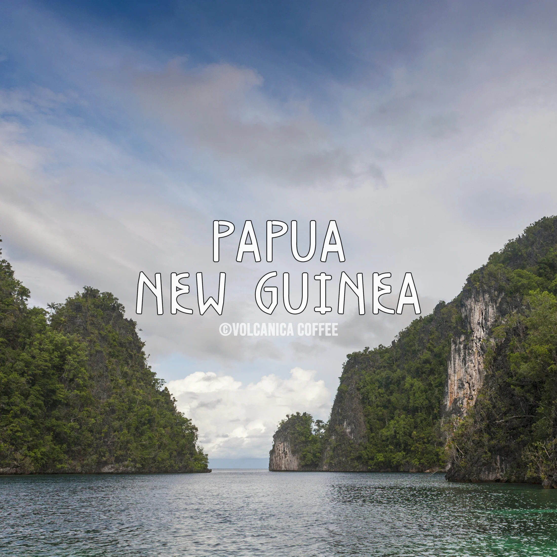 Papua New Guinea Coffee - Image 6