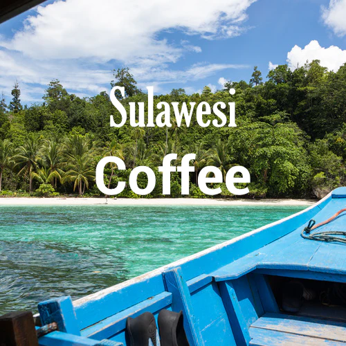 Sulawesi Coffee - Celebes Kalossi - Image 6