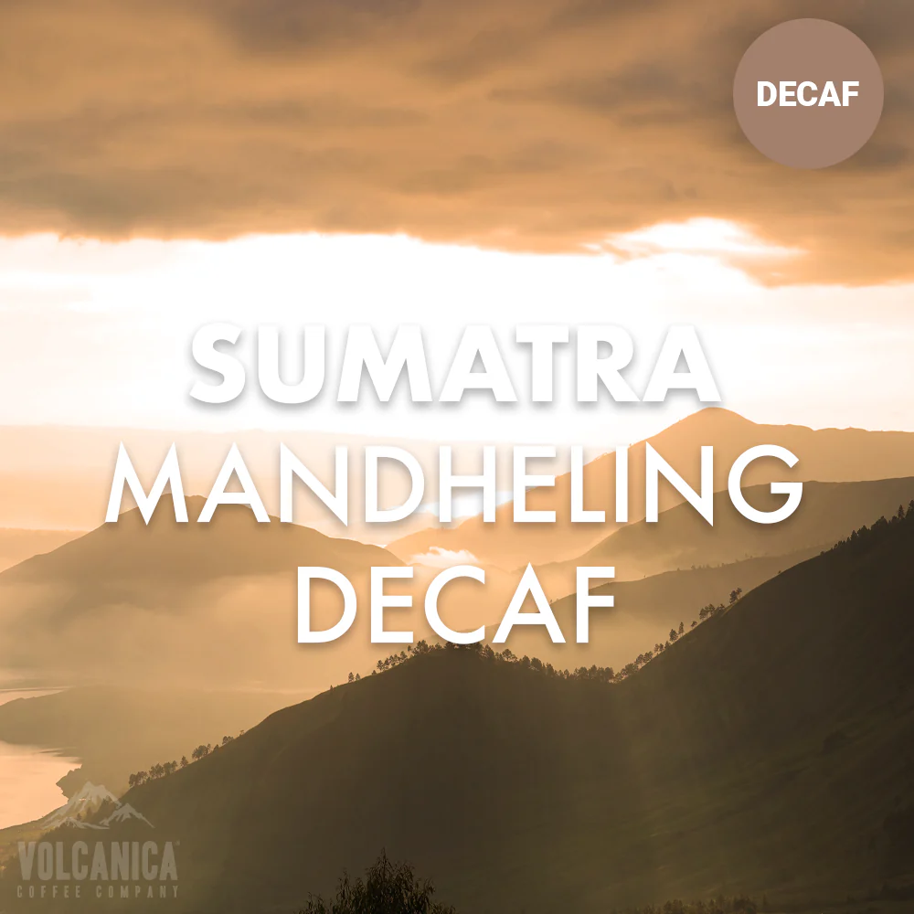 Sumatra Decaf Coffee Mandheling - Image 6