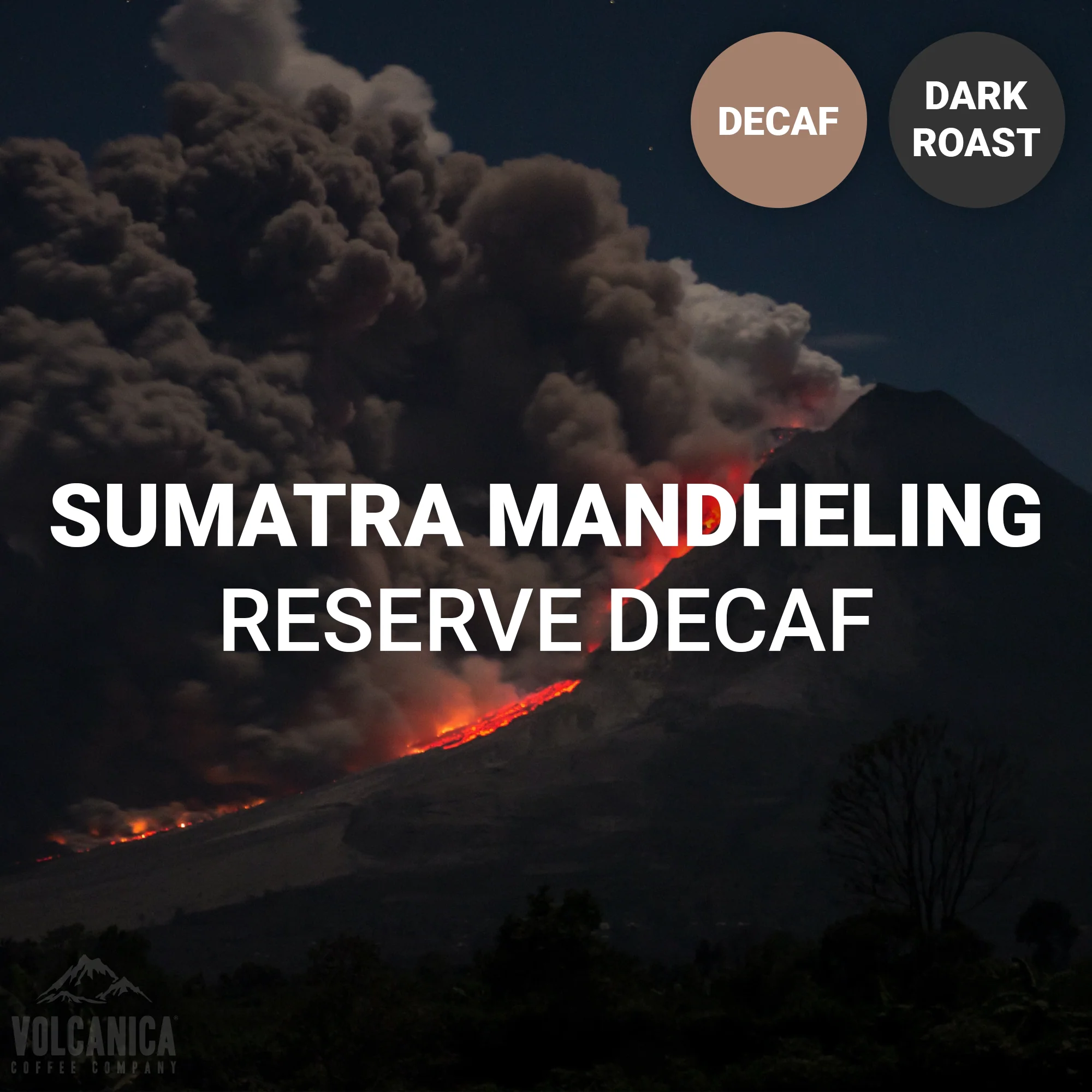 Sumatra Mandheling Dark Roast Decaf Coffee - Reserve - Image 6