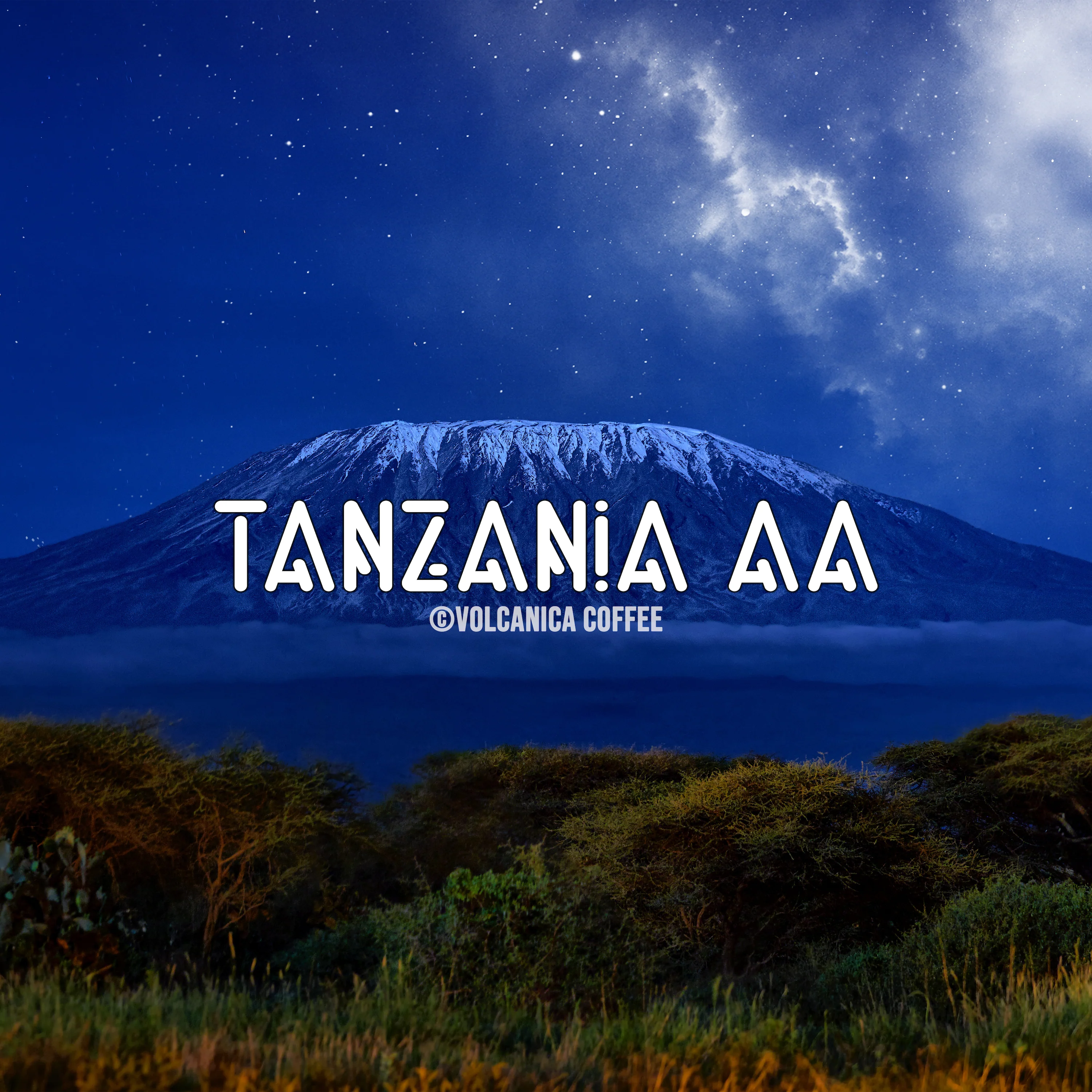 Tanzania AA Coffee - Image 6